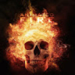 Meet your Posher, Tim